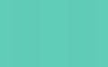 mint / Oracal 055
