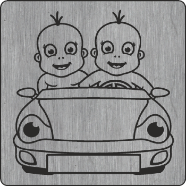 Zwillinge im Auto